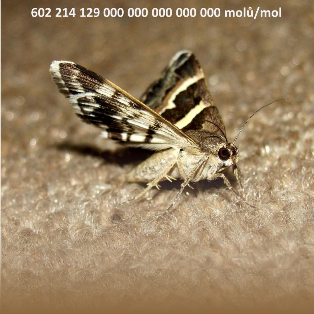 23.10. - oslavte molární den!